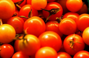 Noderīga brīnums mēslojums tomātiem no nātru