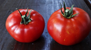 Slavenais tomātu kvalitātes brīnums "mongoļu punduris". Par saviem ražas dzirdējuši daudzi dārznieki!