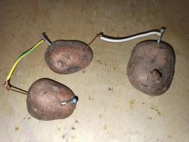 Elektrība no kartupeļiem - veikt vienkāršu eksperimentu