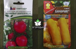 Laulība šķirnes un hibrīdi tomātu