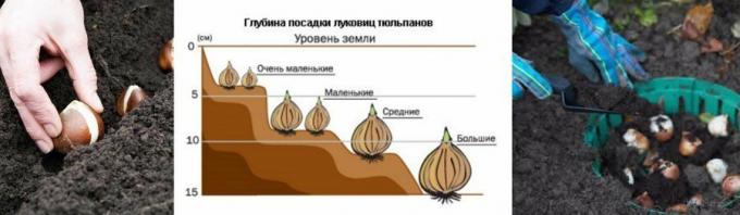 Ilustratīvs piemērs diagrammā. Ņemts no mirfermera.ru