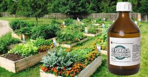 7 rīki dārzu no aptiekas lētāk 50 rubļu