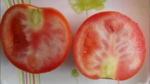 Kāpēc aug tomāti ar baltu vēnām, un ko darīt