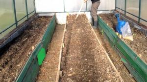 Obligāti rudens siltumnīcu augsnes apstrāde pret infekcijām un sēnītēm (nekaitīgs veidā).