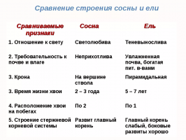 Egle kā celtniecības materiāls