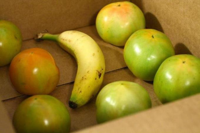 Banana kastē ar zaļiem tomātiem | Mājai un Dārzkopība