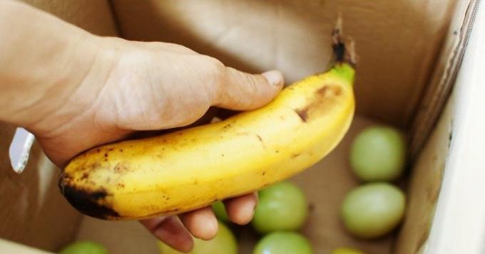 Pienācis banānu paātrina nogatavošanās zaļo tomātu