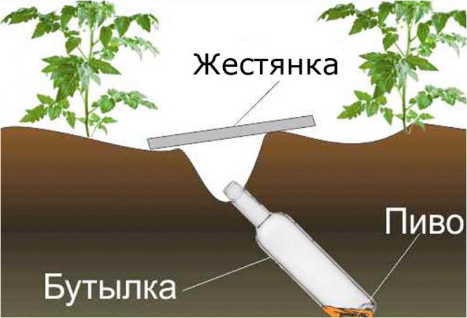 dizains shēma klopkan.ru vietne